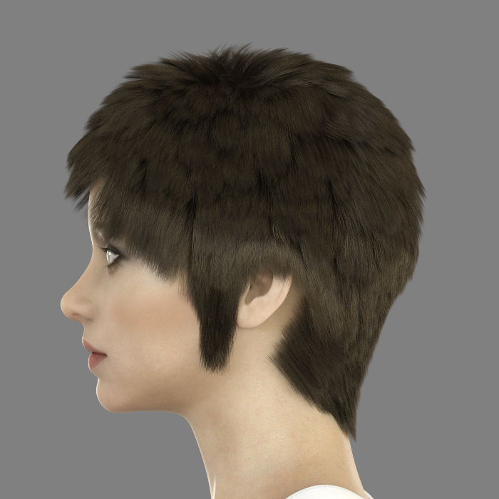 NI Hair for Genesis 8 and 8.1 Female by N/A