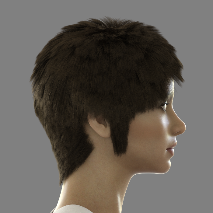 NI Hair for Genesis 8 and 8.1 Female by N/A
