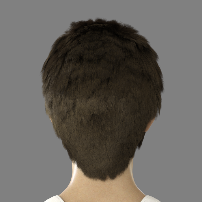 NI Hair for Genesis 8 and 8.1 Female by N/A