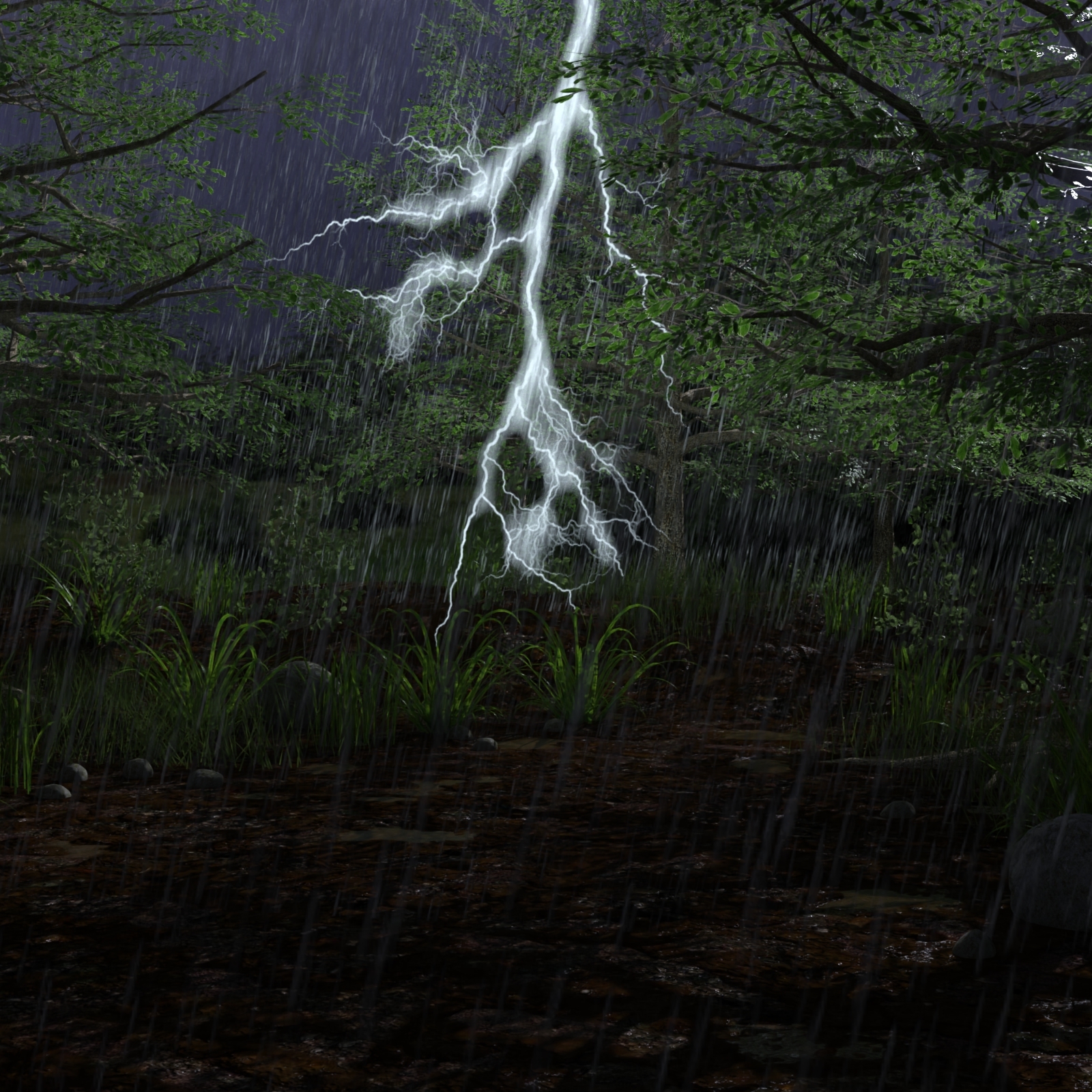 Storm by N/A