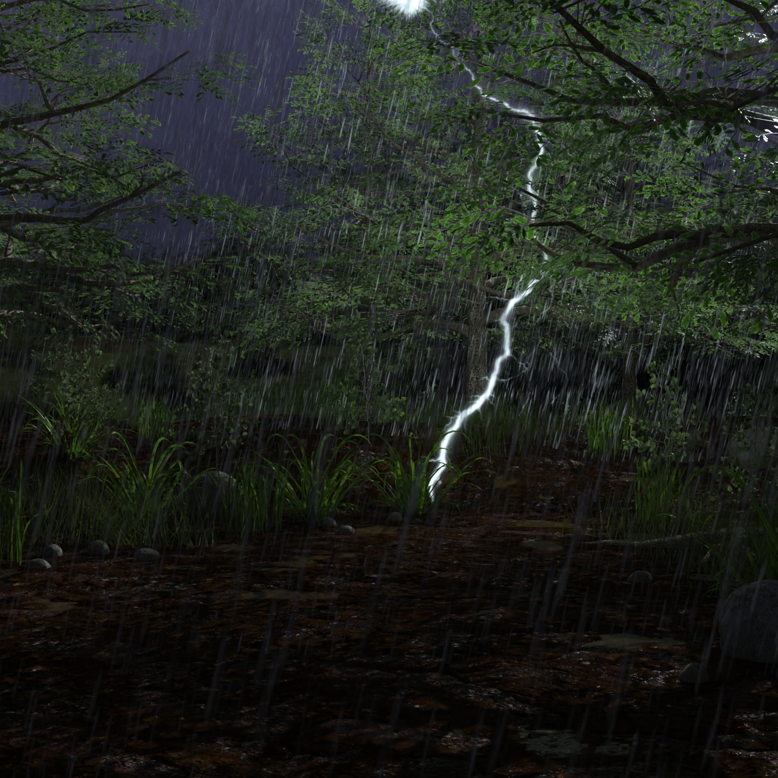Storm by N/A