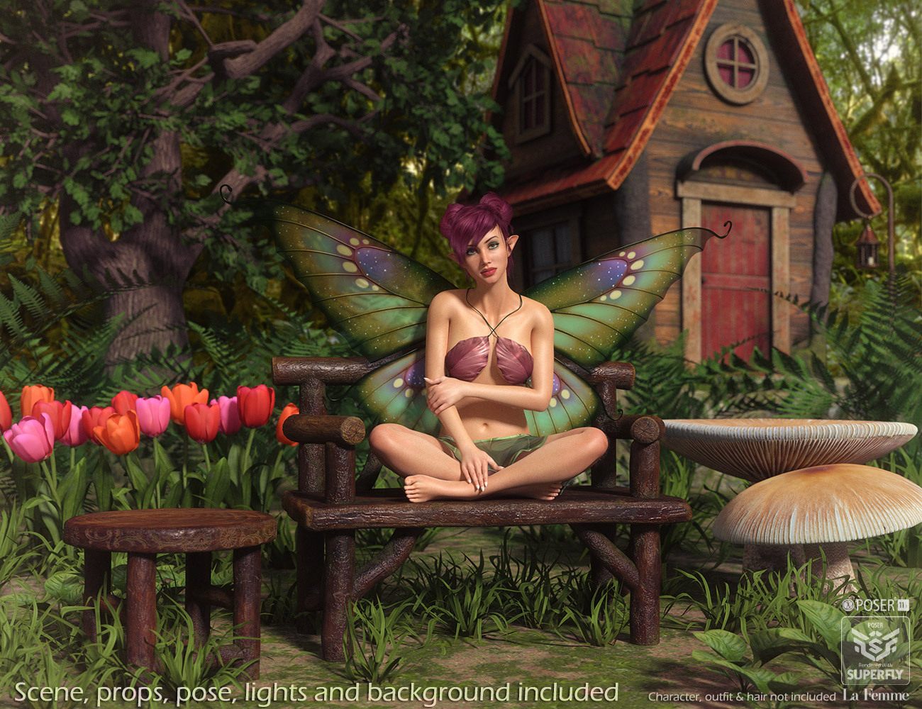Enchanted Cottage for Poser by N/A