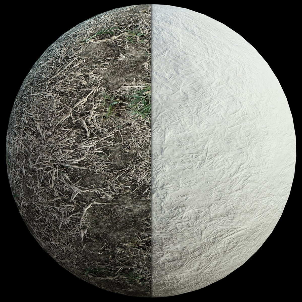 Dry Grass Shaders for Iray by N/A