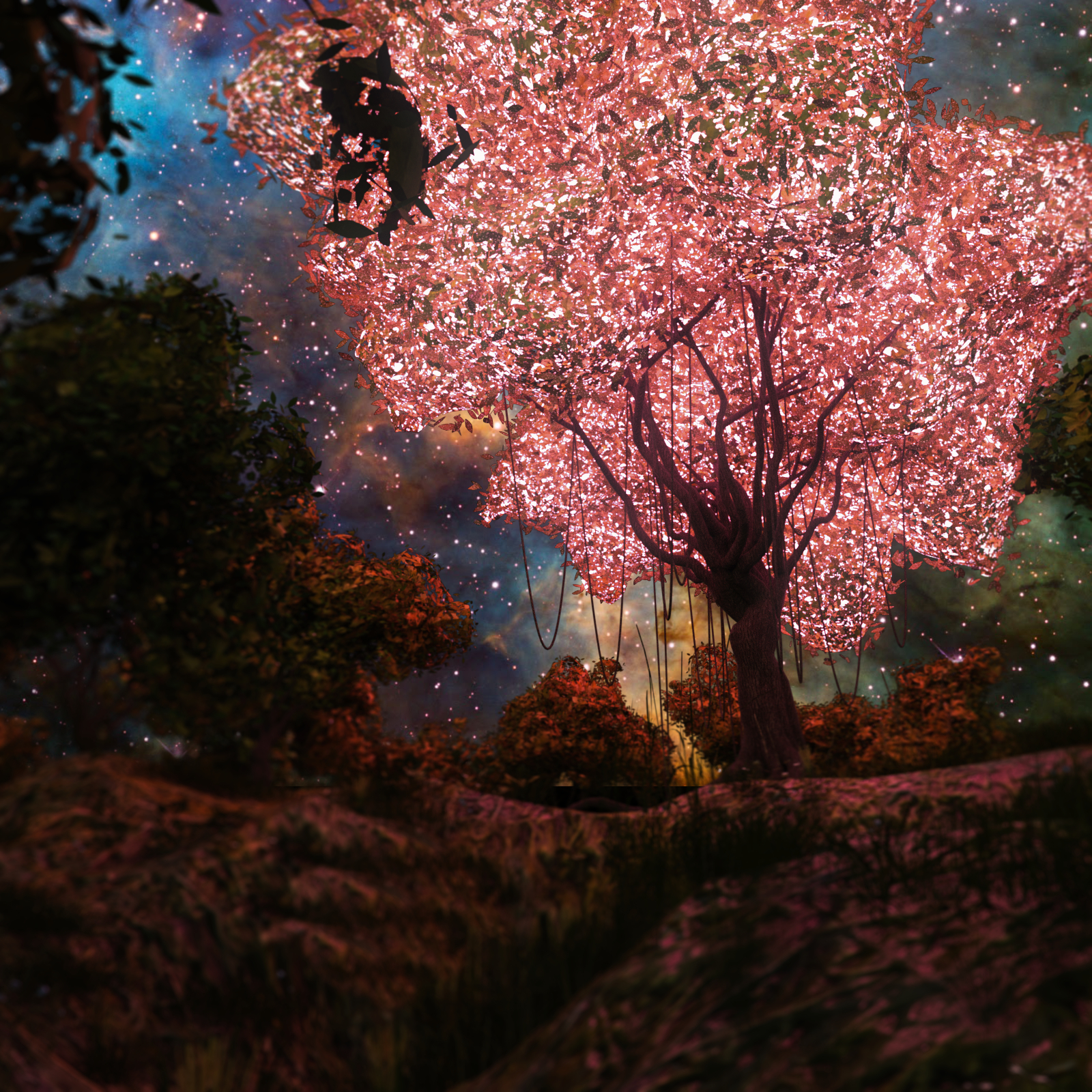 Enchanted Forest by N/A