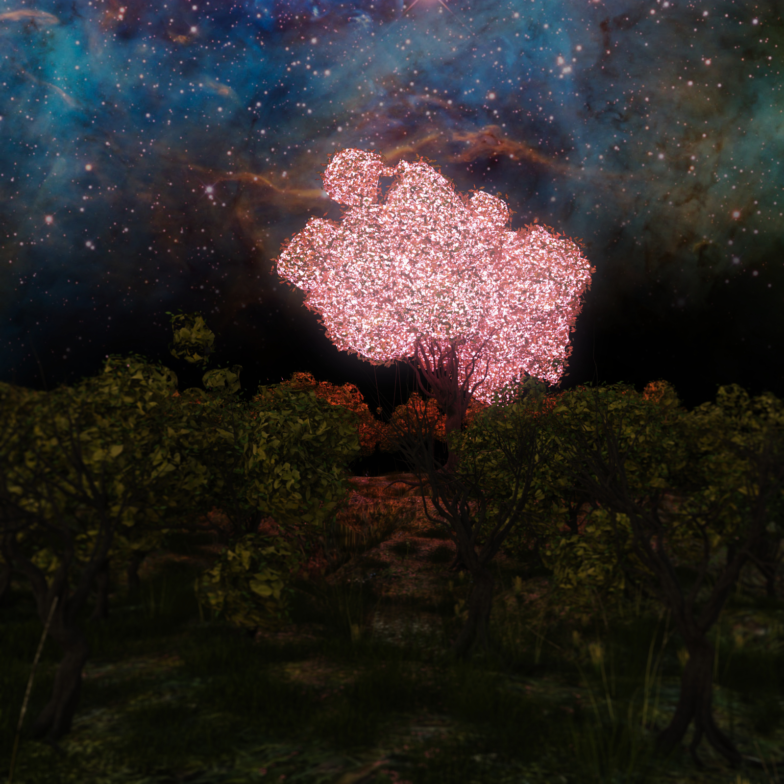 Enchanted Forest by N/A