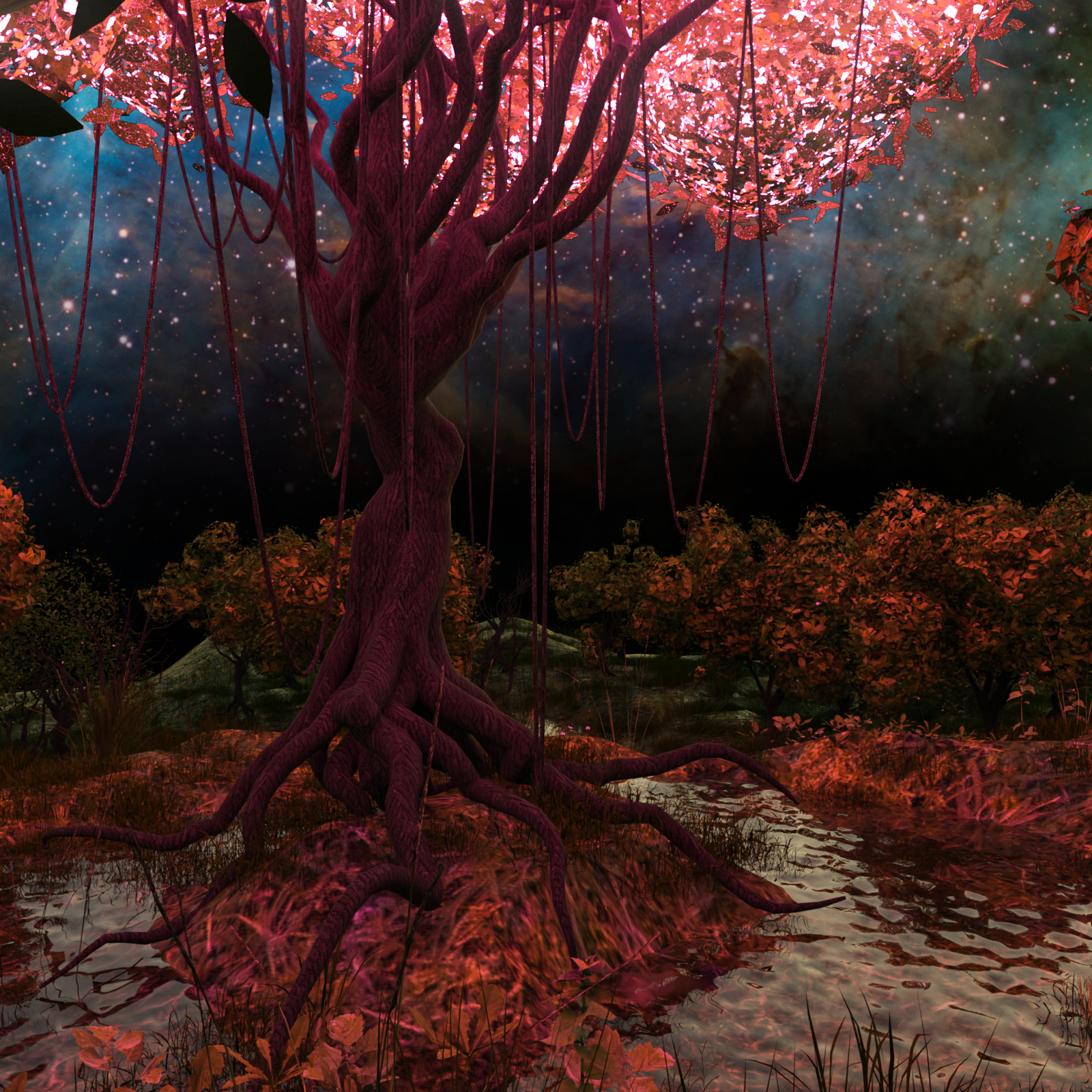 Enchanted Forest by N/A