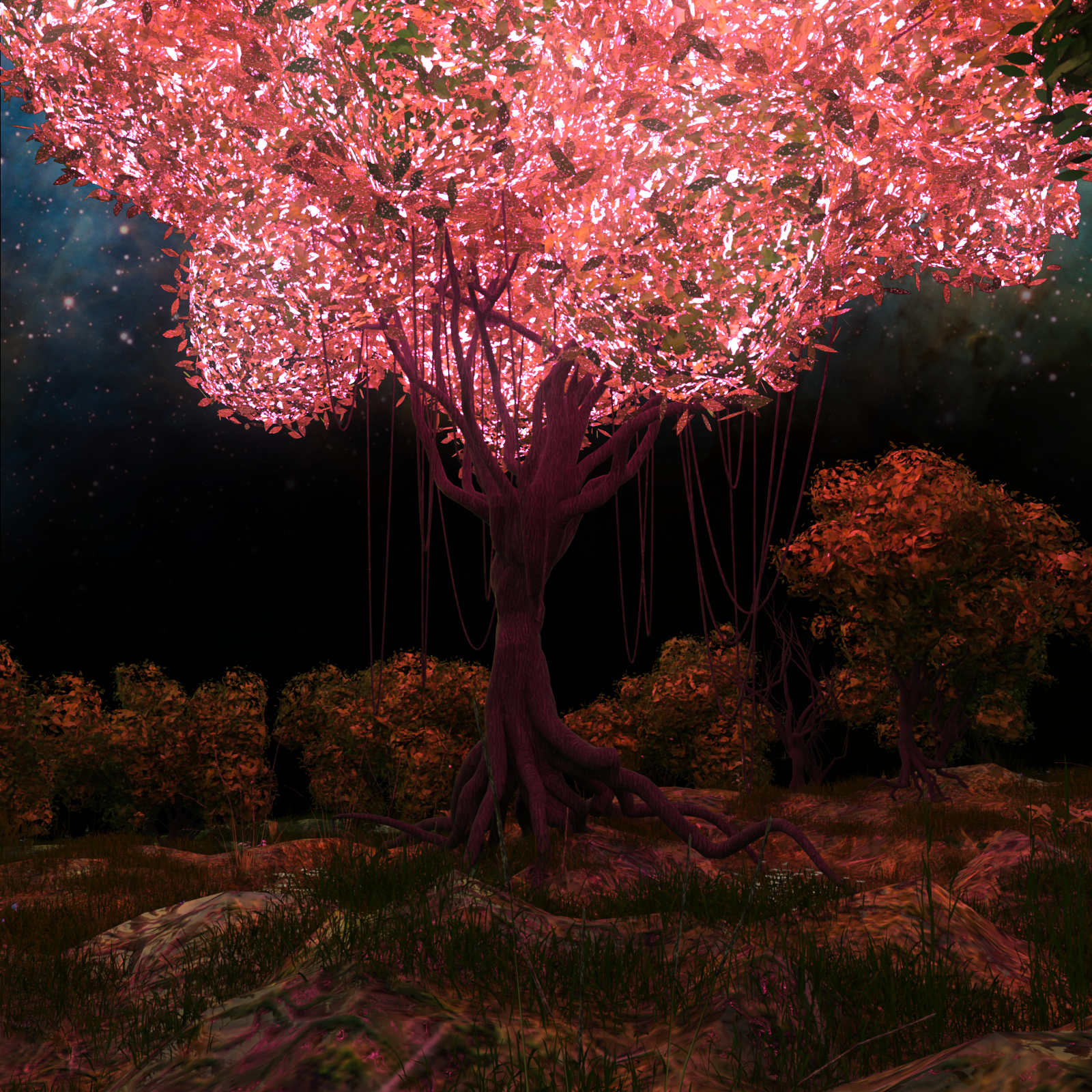 Enchanted Forest by N/A