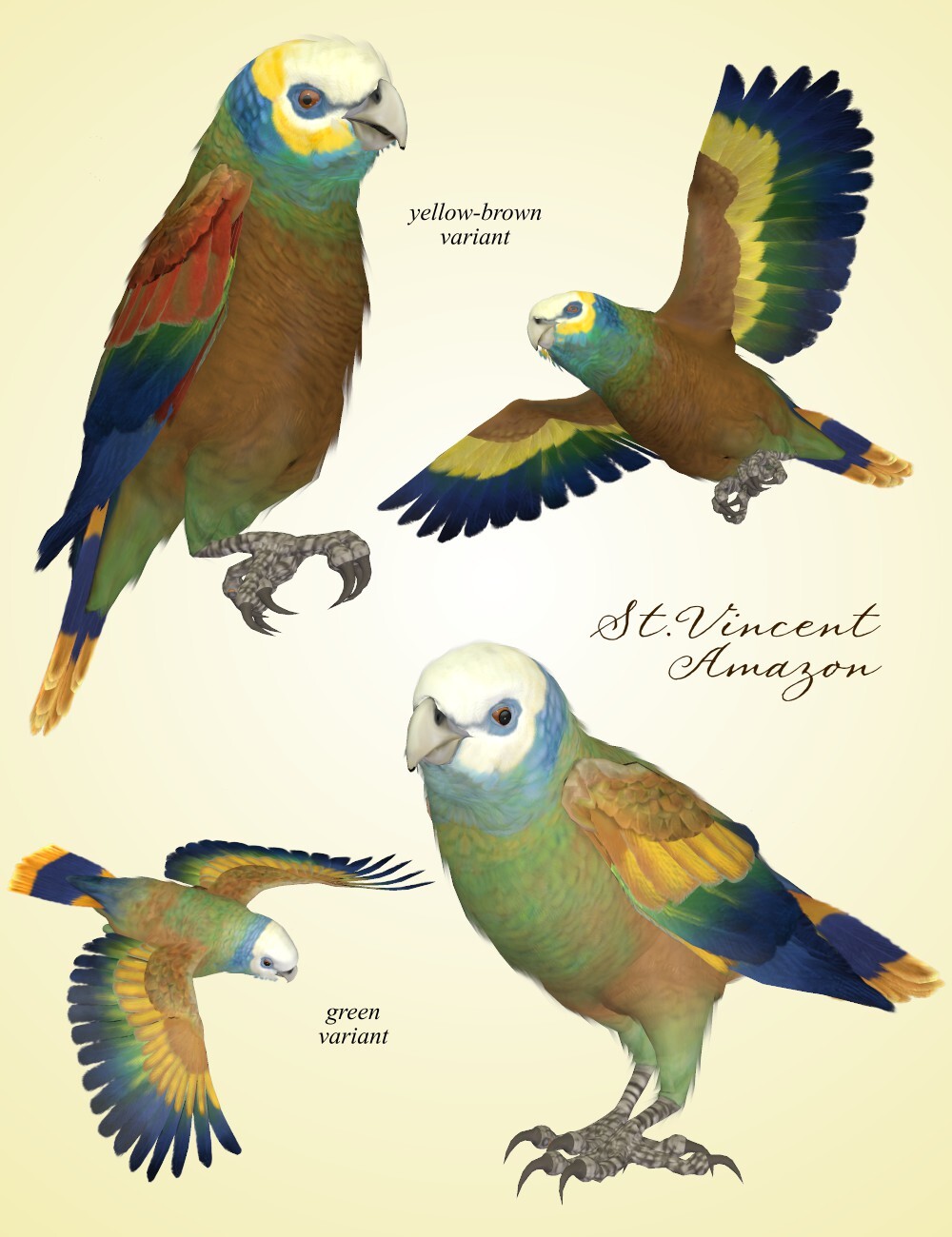 Songbird ReMix Parrots Vol 6 - Amazons of the World 2 by N/A