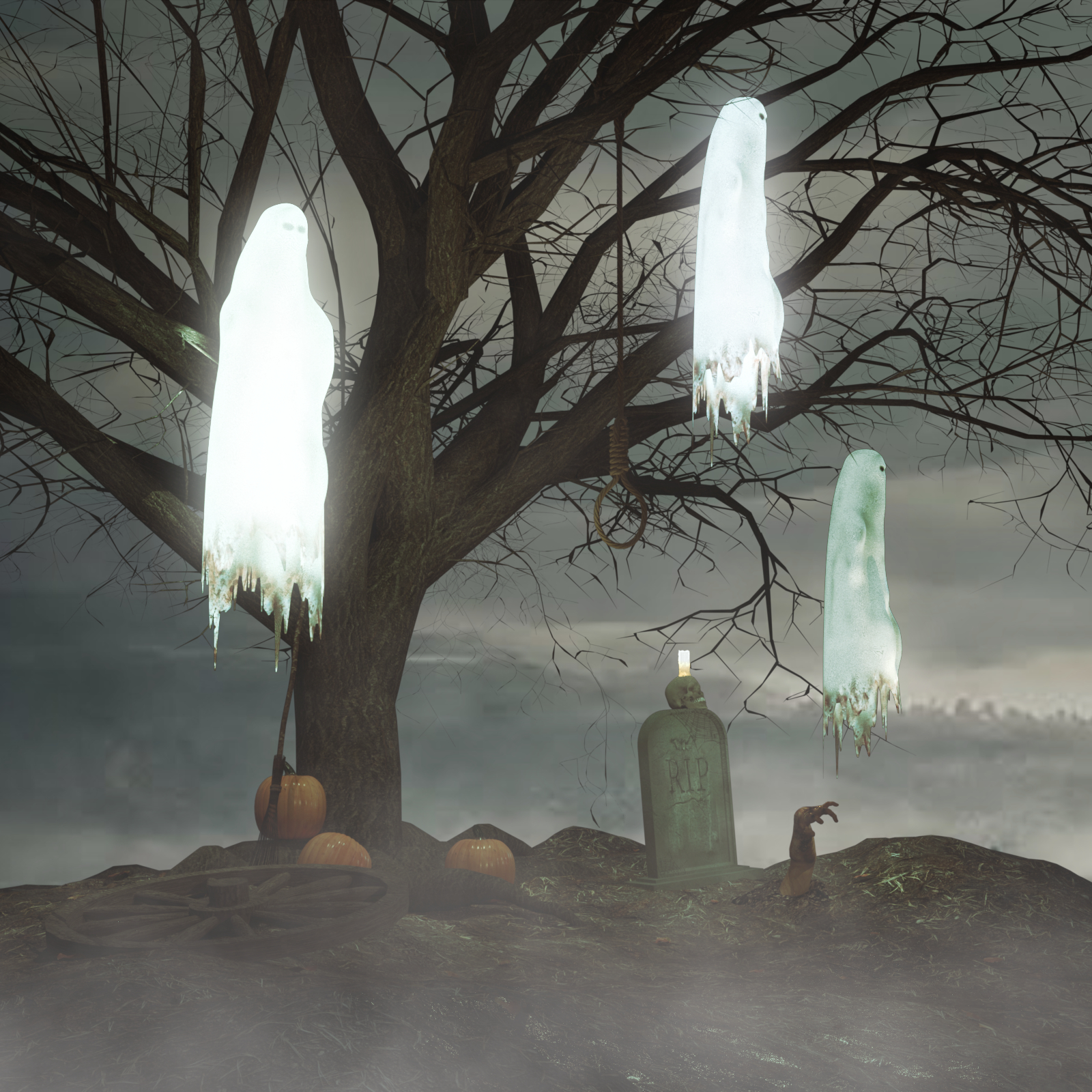 The Ghost of Wild West by N/A