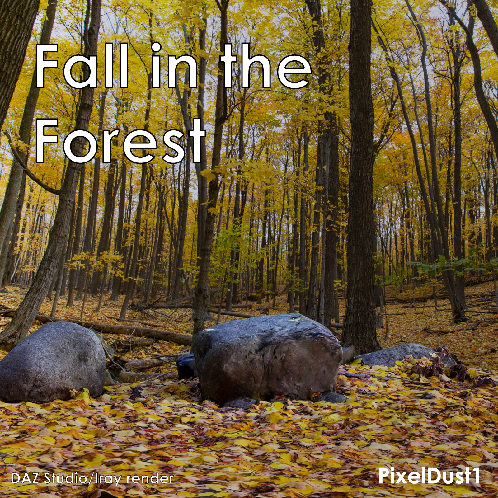 Fall in The Forest, a scene celebrating the fall season in a Canadian forest by N/A