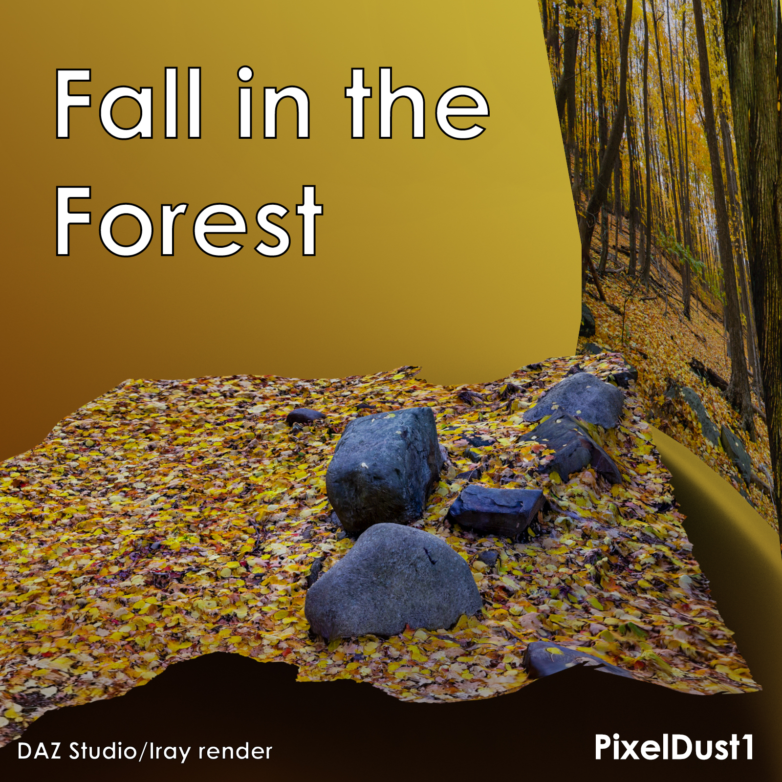 Fall in The Forest, a scene celebrating the fall season in a Canadian forest by N/A