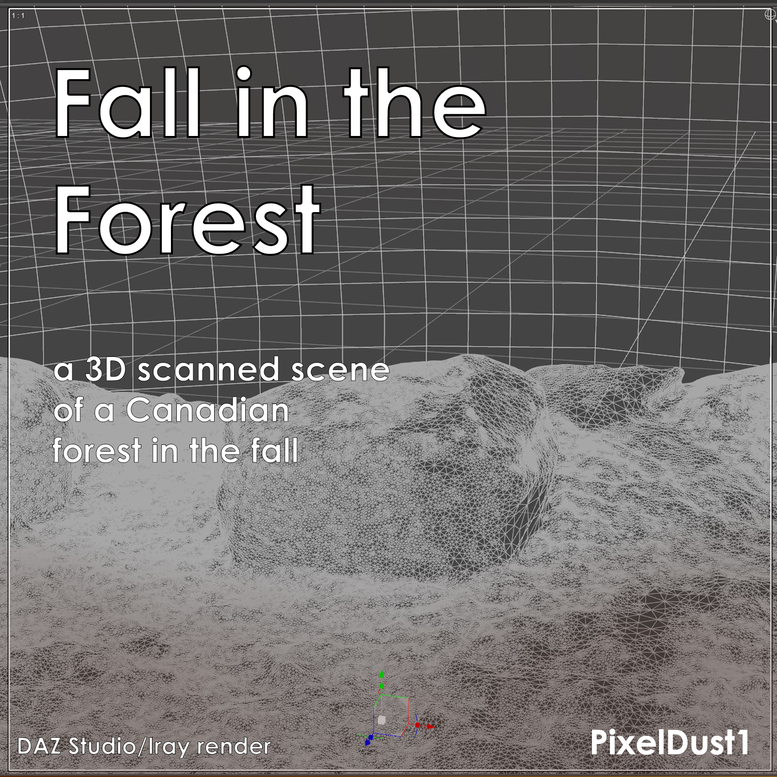 Fall in The Forest, a scene celebrating the fall season in a Canadian forest by N/A
