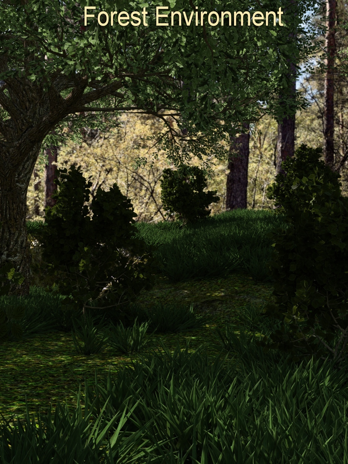 Forest Environment by N/A