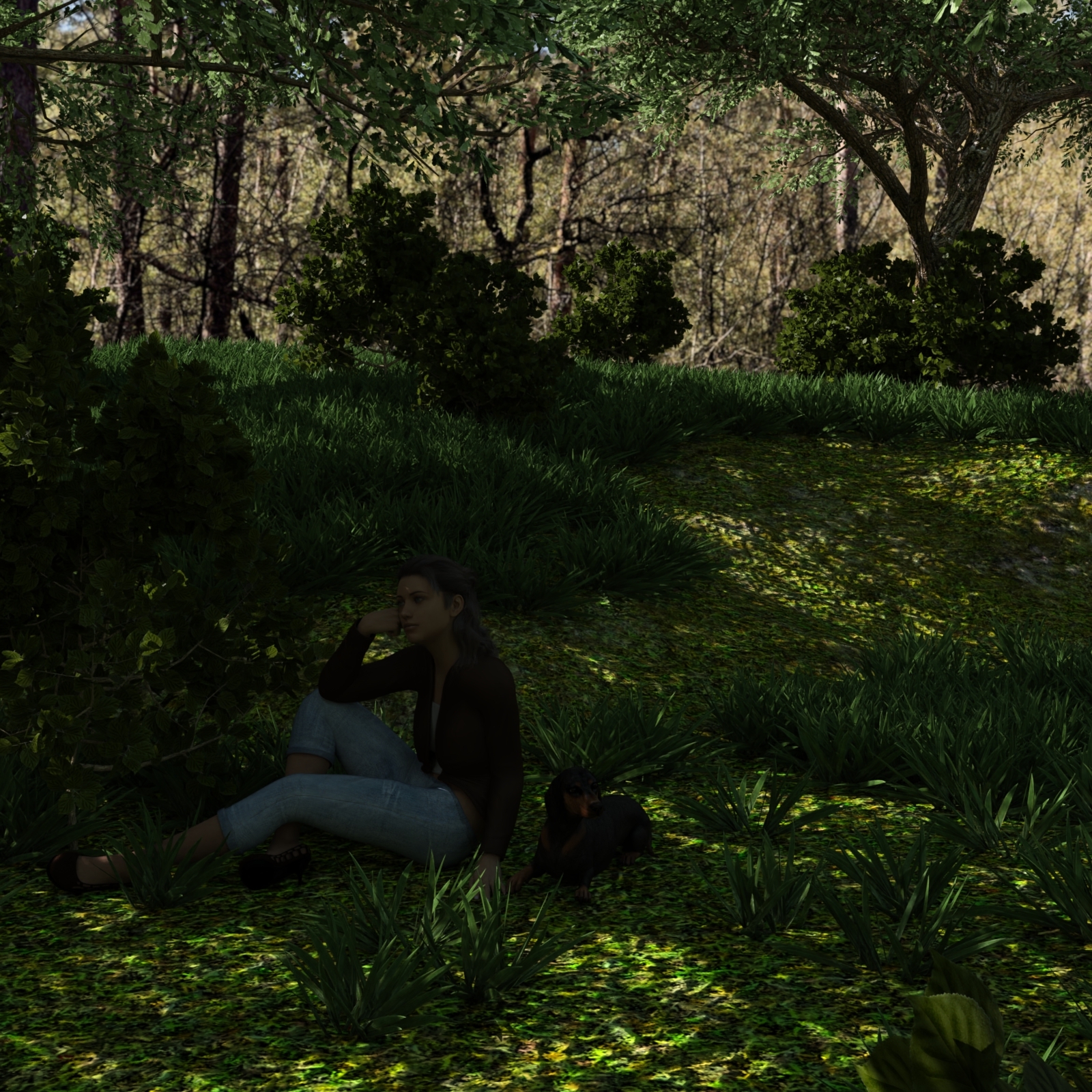 Forest Environment by N/A