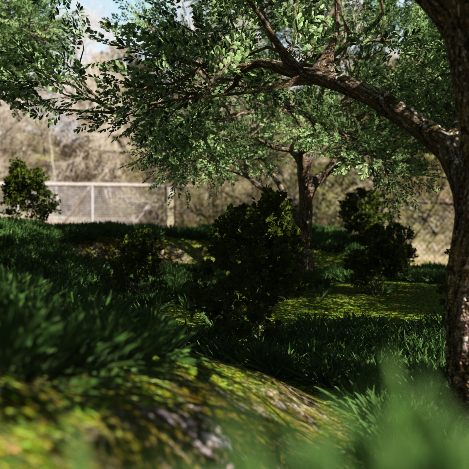 Forest Environment by N/A