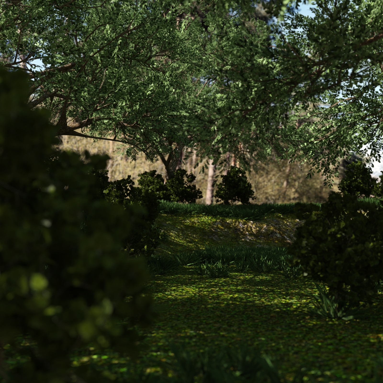 Forest Environment by N/A