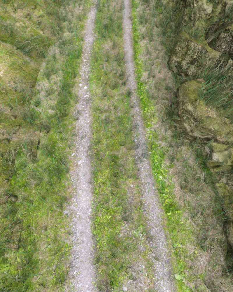 3D Scenery: Cosy Country Road by N/A