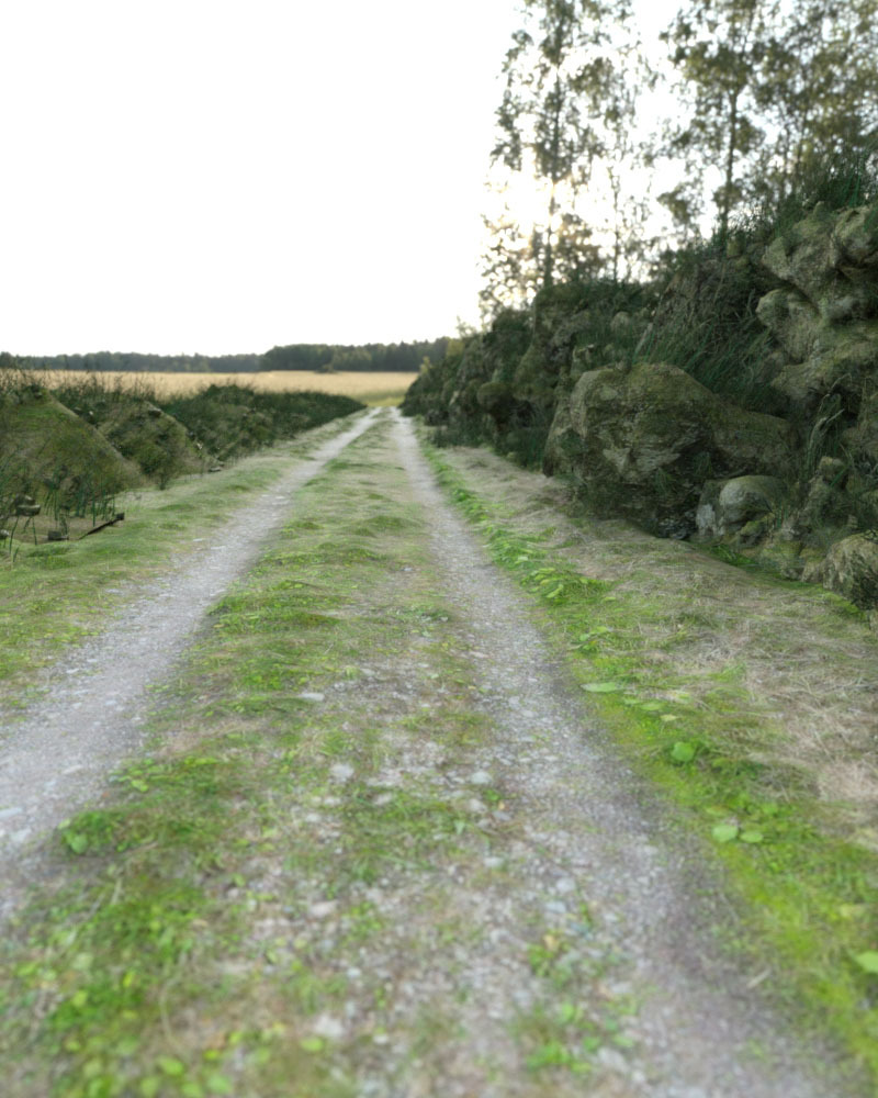 3D Scenery: Cosy Country Road by N/A