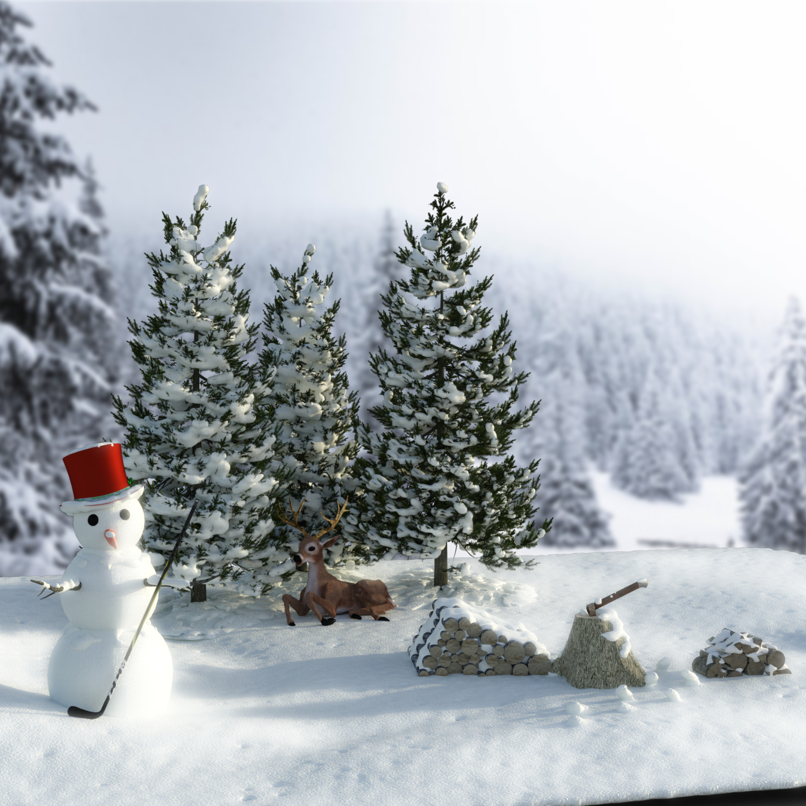 Winter Wonderland by N/A