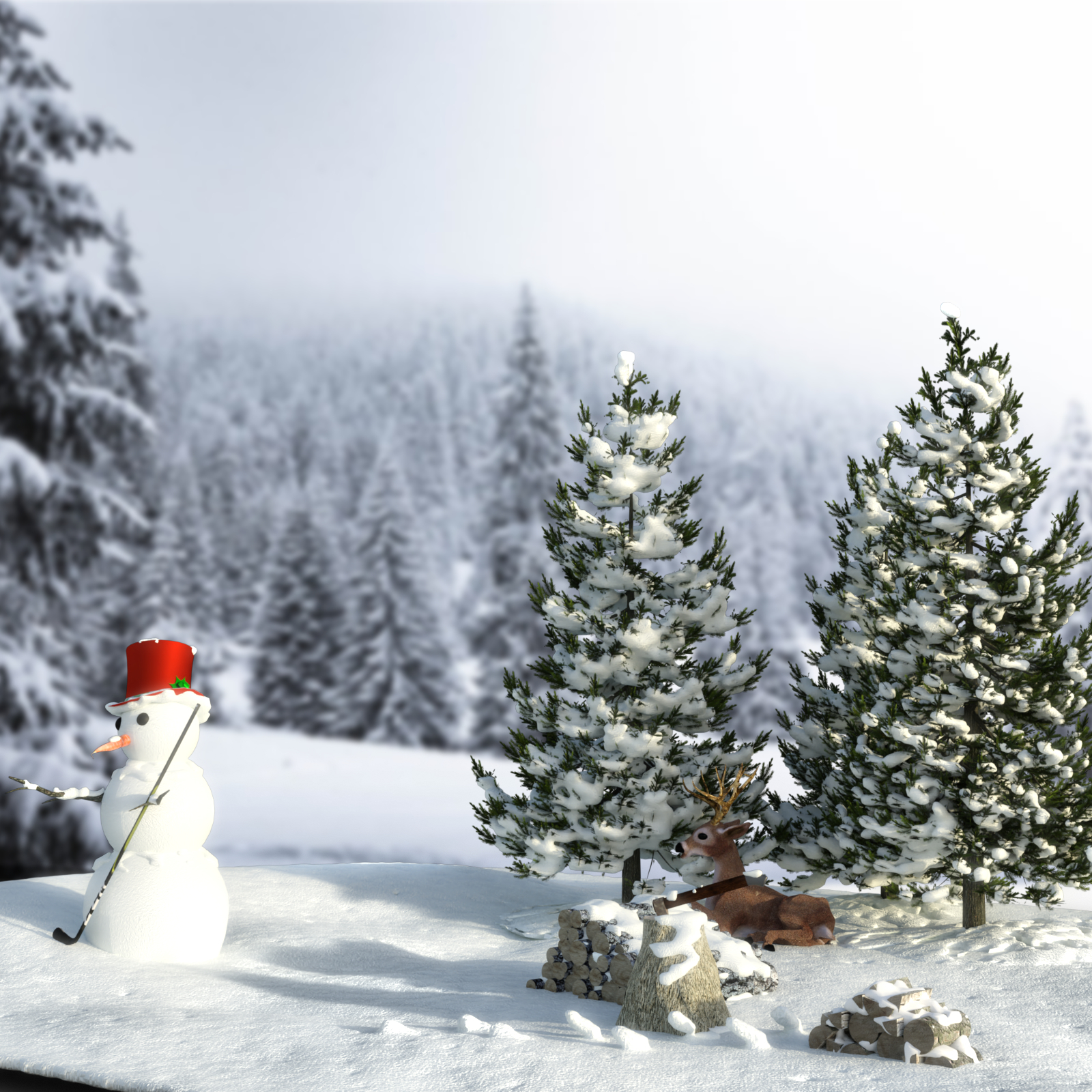 Winter Wonderland by N/A