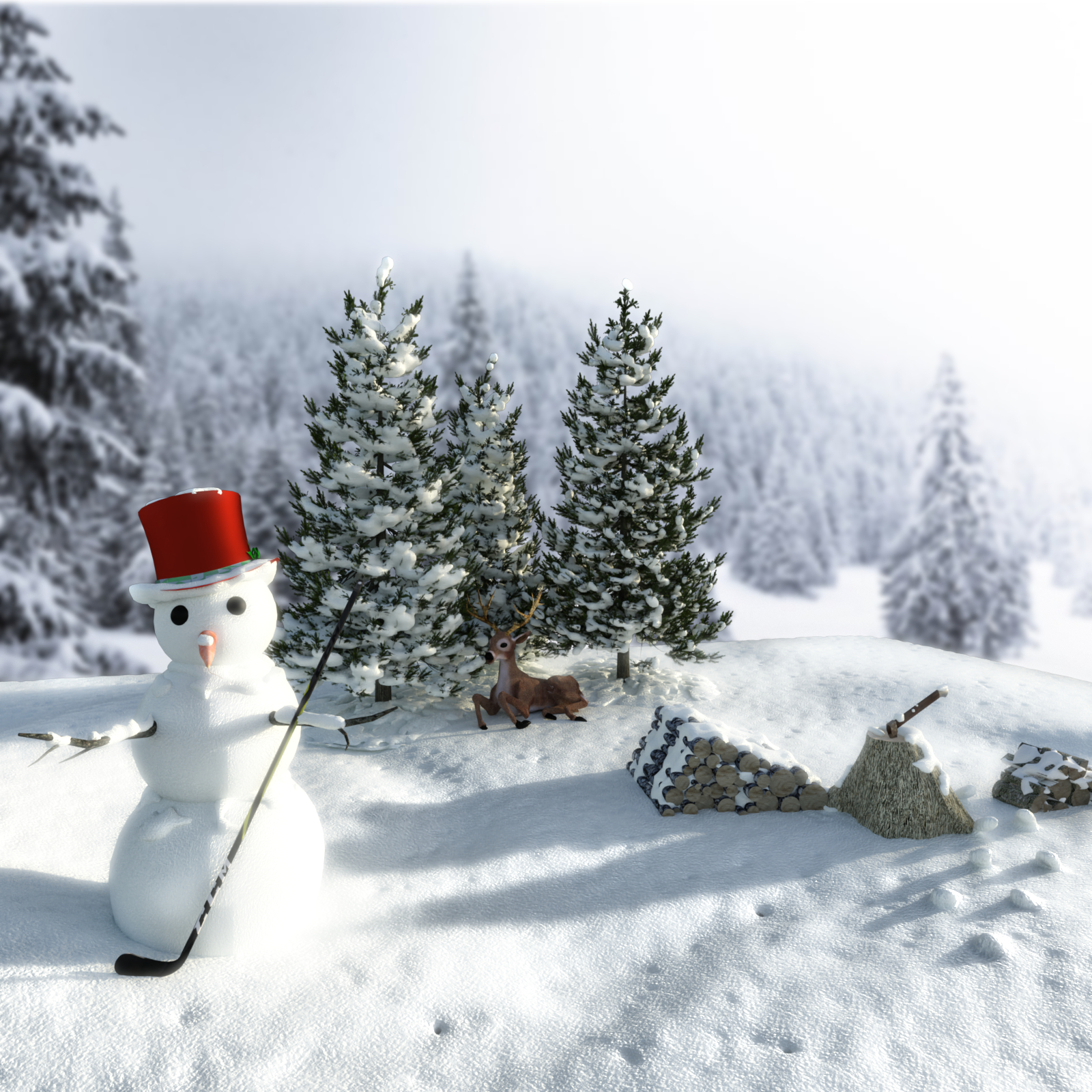 Winter Wonderland by N/A