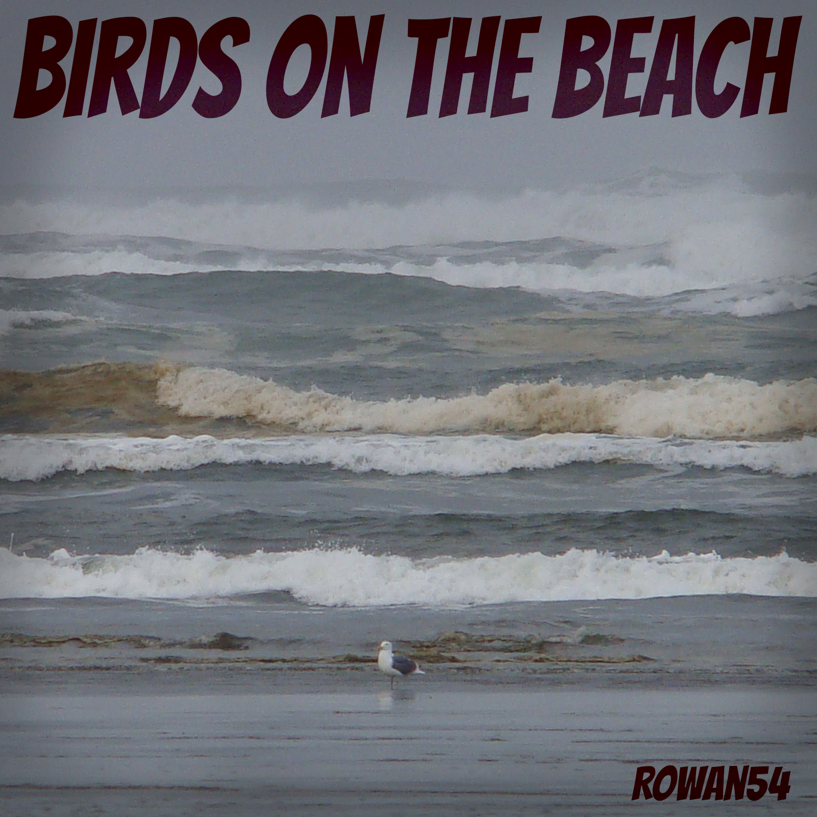 Birds on the Beach by N/A