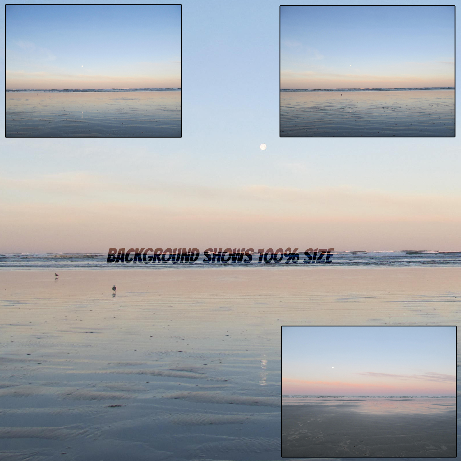 Birds on the Beach by N/A