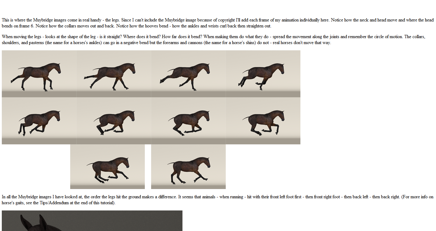 How to Make a Horse Run by N/A