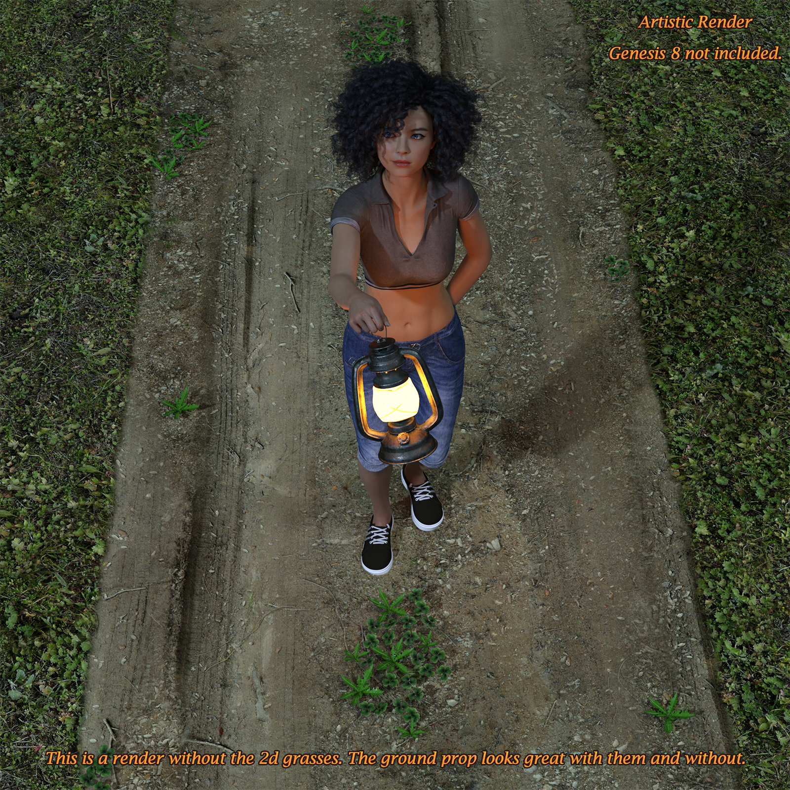 Dirt Path For Daz Studio With Iray by N/A