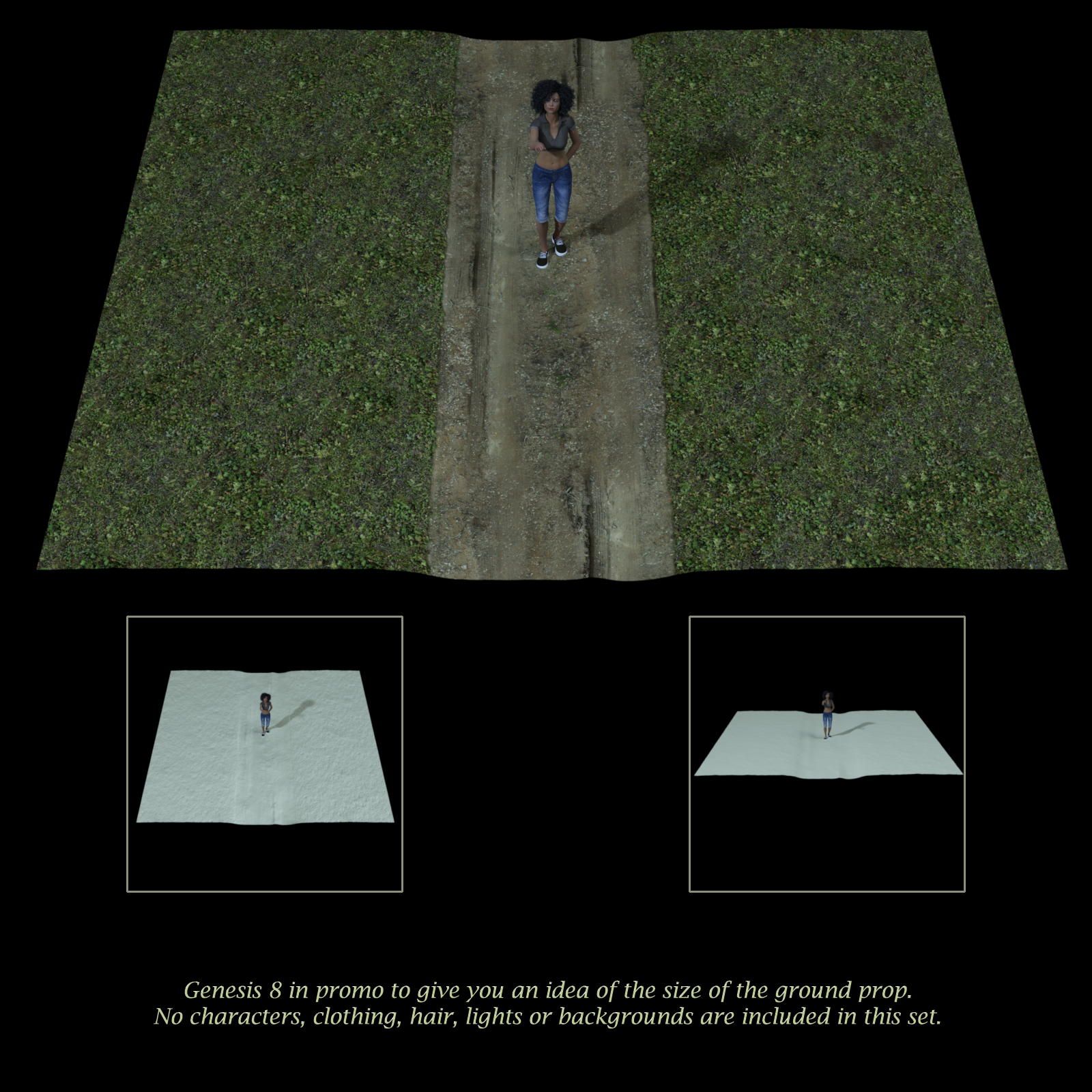 Dirt Path For Daz Studio With Iray by N/A