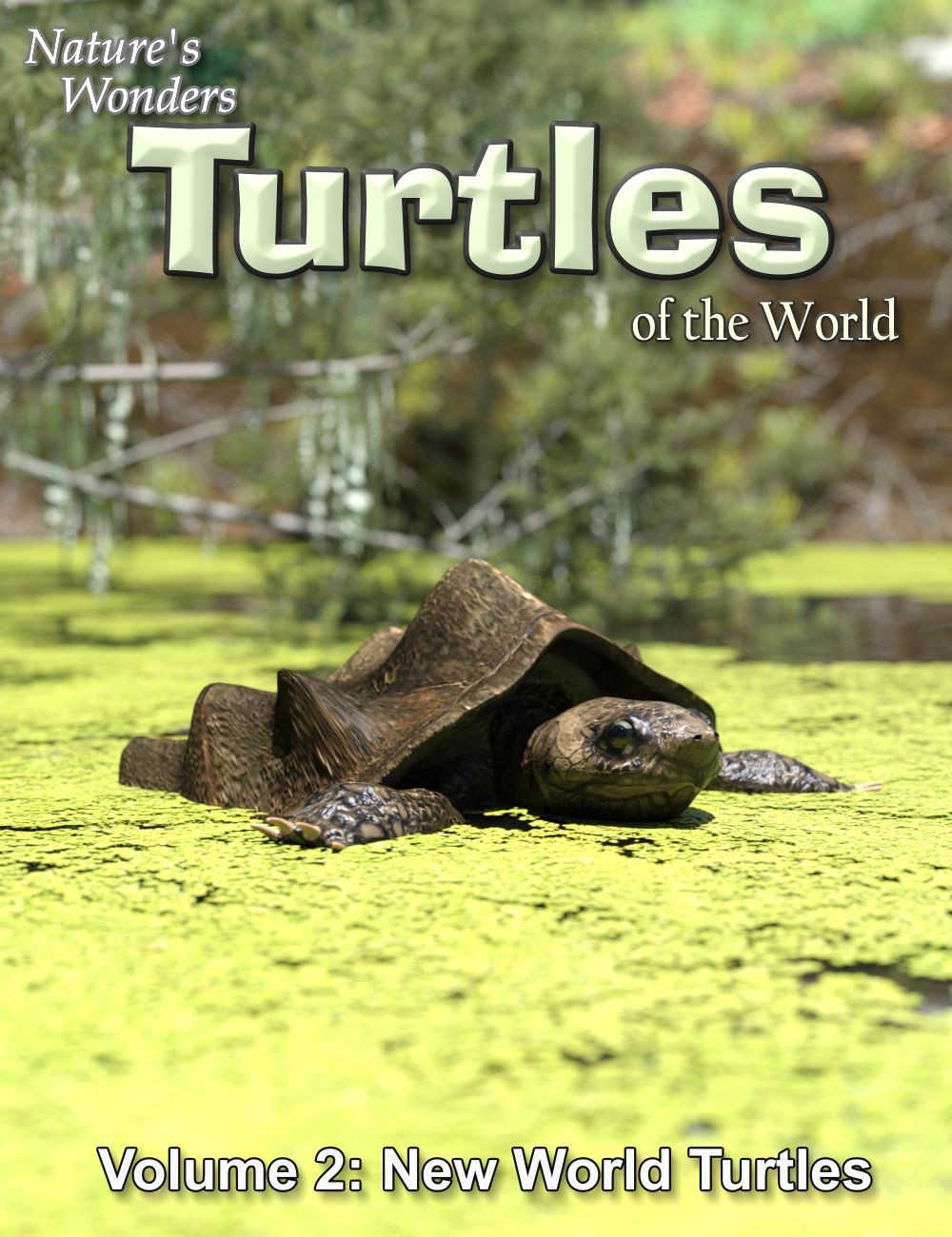 Nature's Wonders Turtles of the World Vol. 2 by N/A