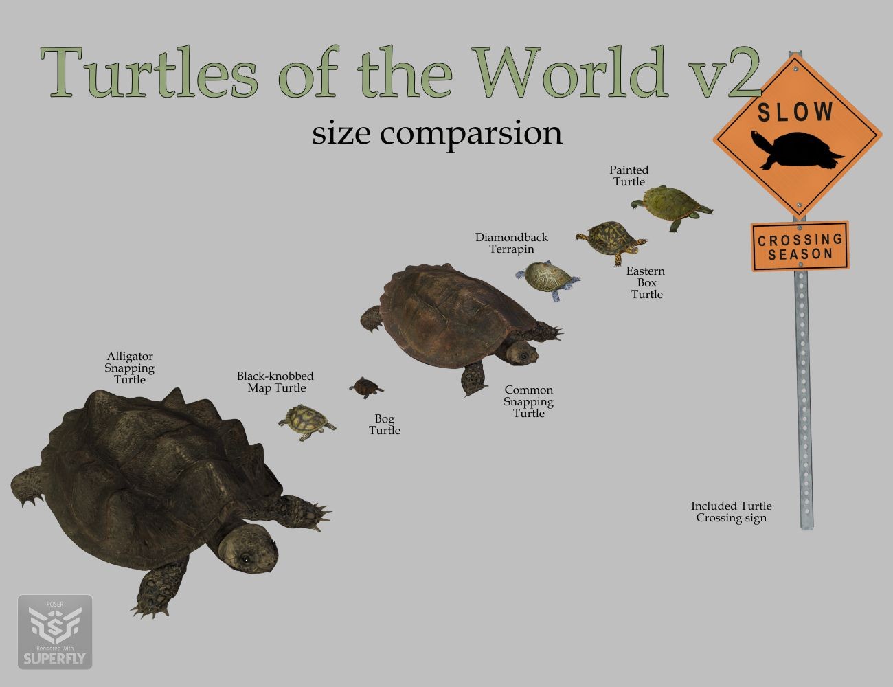 Nature's Wonders Turtles of the World Vol. 2 by N/A