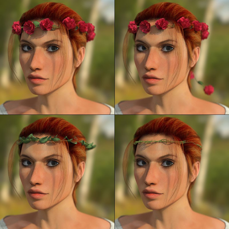 Rose Wreath for V4 and La Femme by N/A