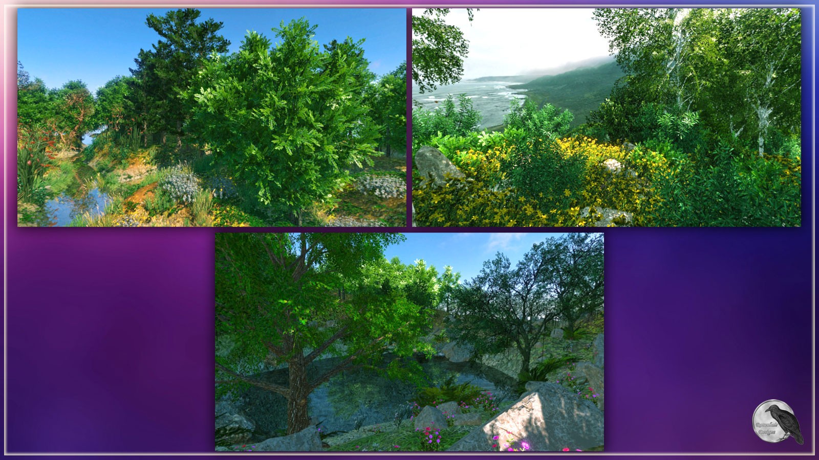 RD Environments Of The Forest by N/A