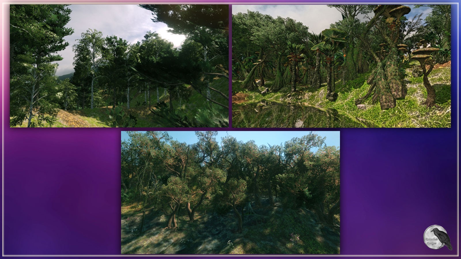 RD Environments Of The Forest by N/A