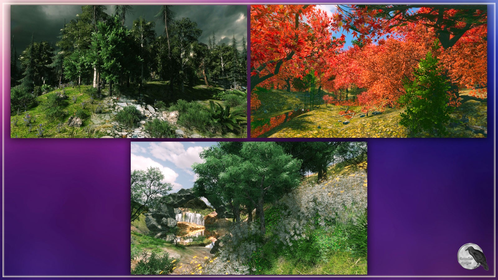 RD Environments Of The Forest by N/A