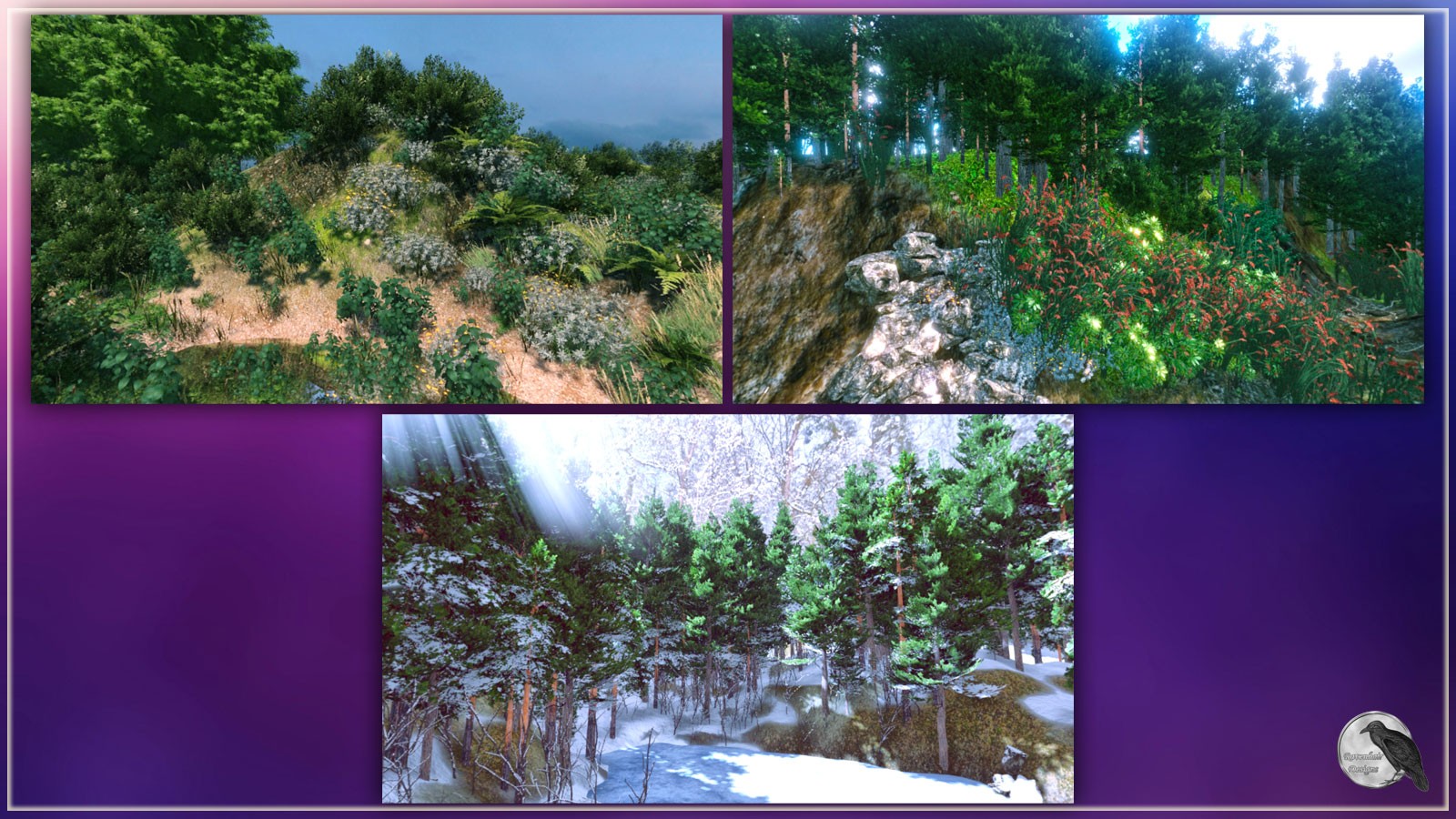 RD Environments Of The Forest by N/A