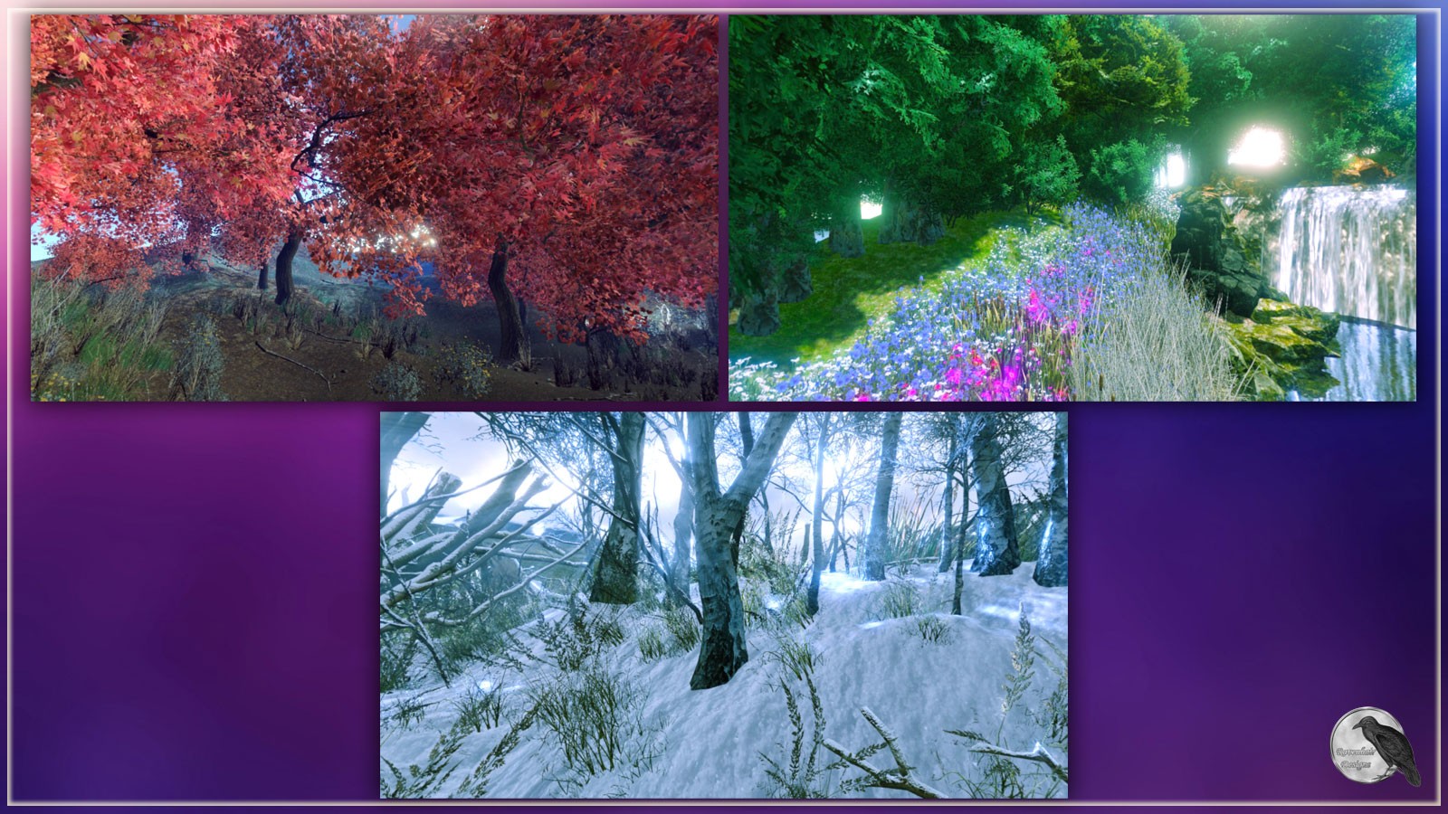 RD Environments Of The Forest by N/A