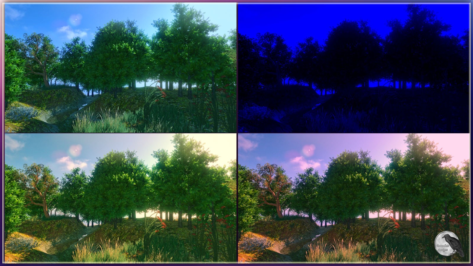 RD Environments Of The Forest by N/A