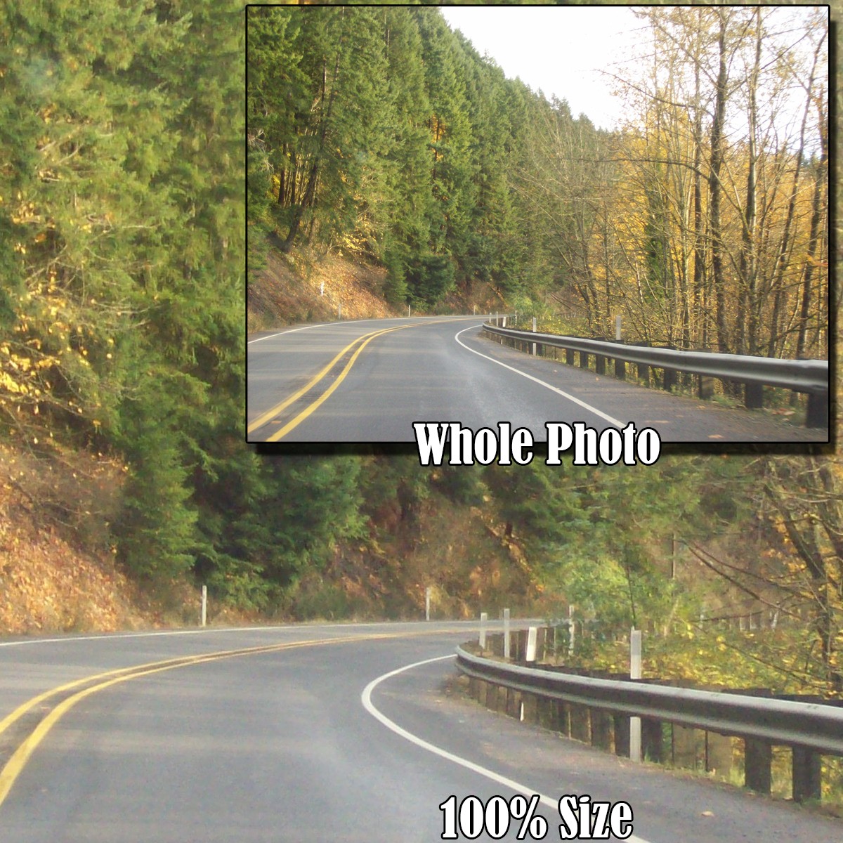 Scenic Roads 2 by N/A