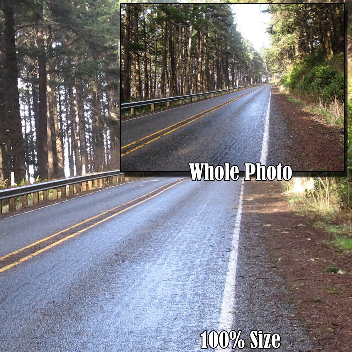 Scenic Roads 2 by N/A