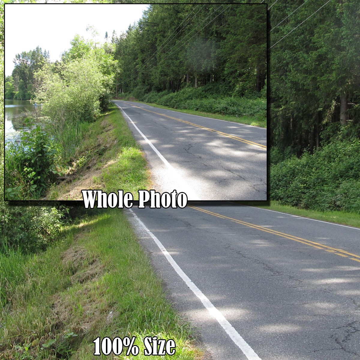 Scenic Roads 2 by N/A