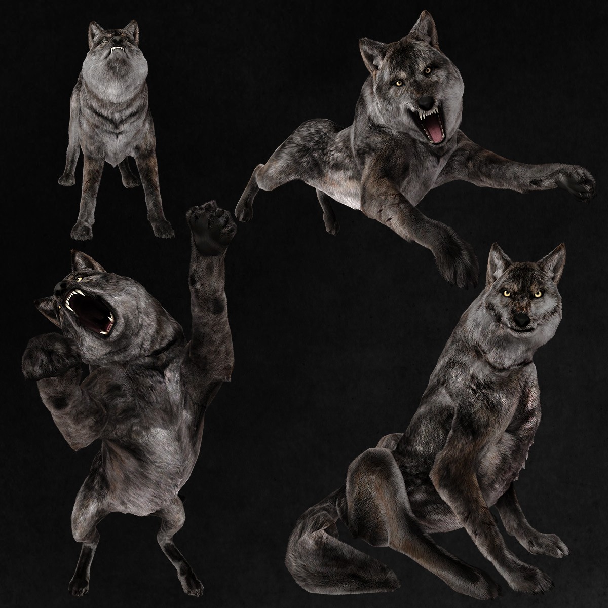 Gray Wolf Overlays by N/A