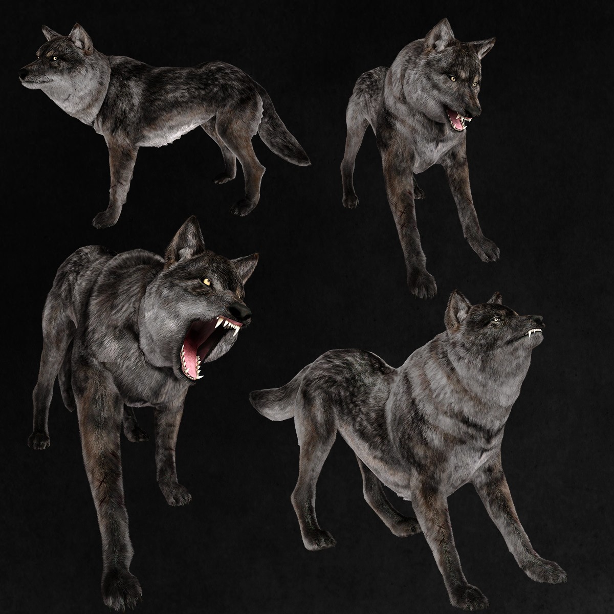 Gray Wolf Overlays by N/A