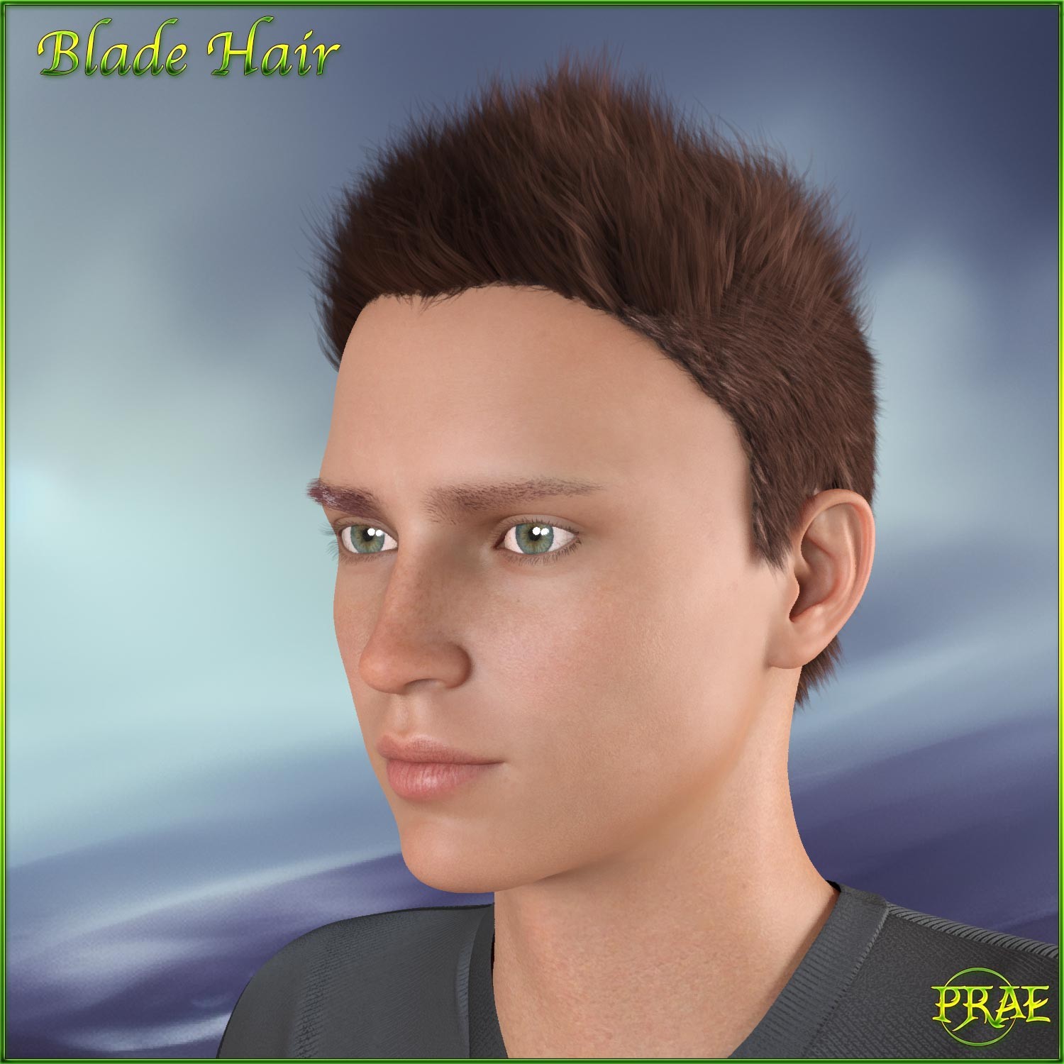Prae-Blade Hair For G8/G9 Daz by N/A