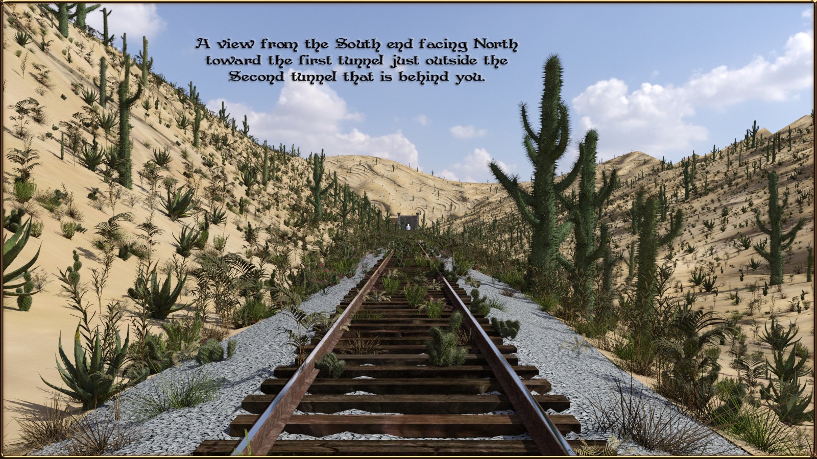 Steam Train Desert by N/A