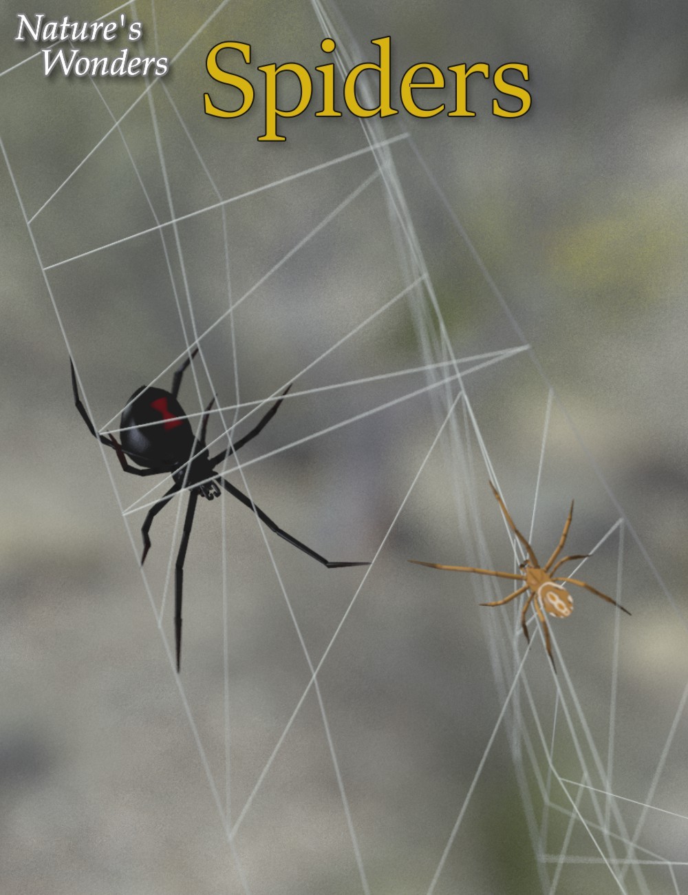 Nature's Wonders Spiders by N/A
