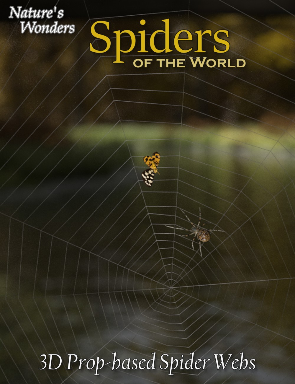 Nature's Wonders Spider Webs by N/A