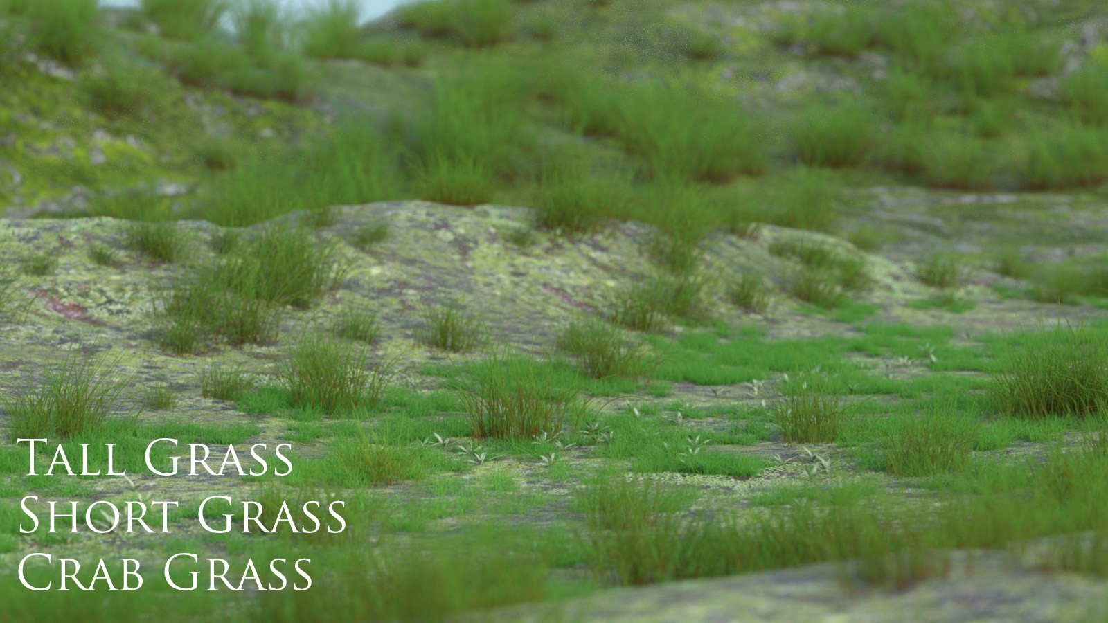 1stBastion Grassy Flats Ground Props by N/A