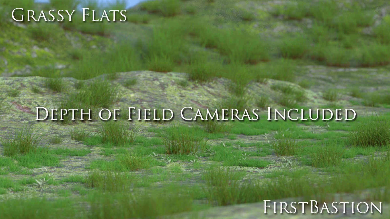 1stBastion Grassy Flats Ground Props by N/A